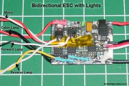 BridgeLights.jpg